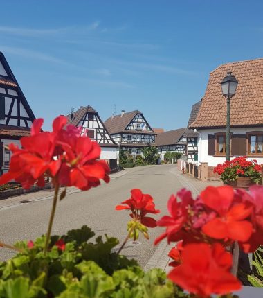 S’installer à Seebach