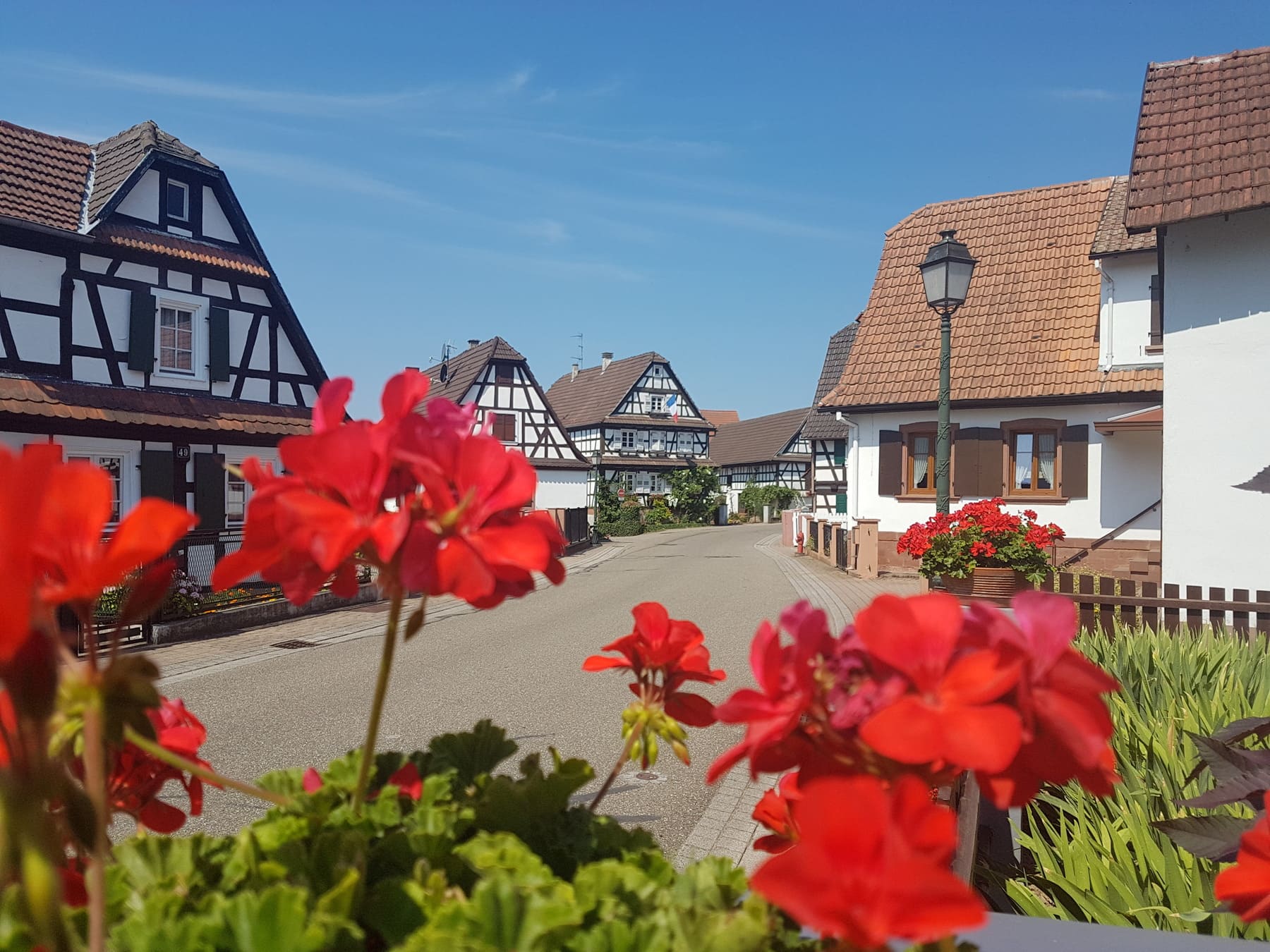 S’installer à Seebach