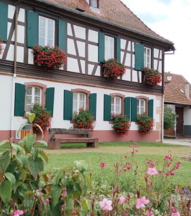 Vos démarches administratives